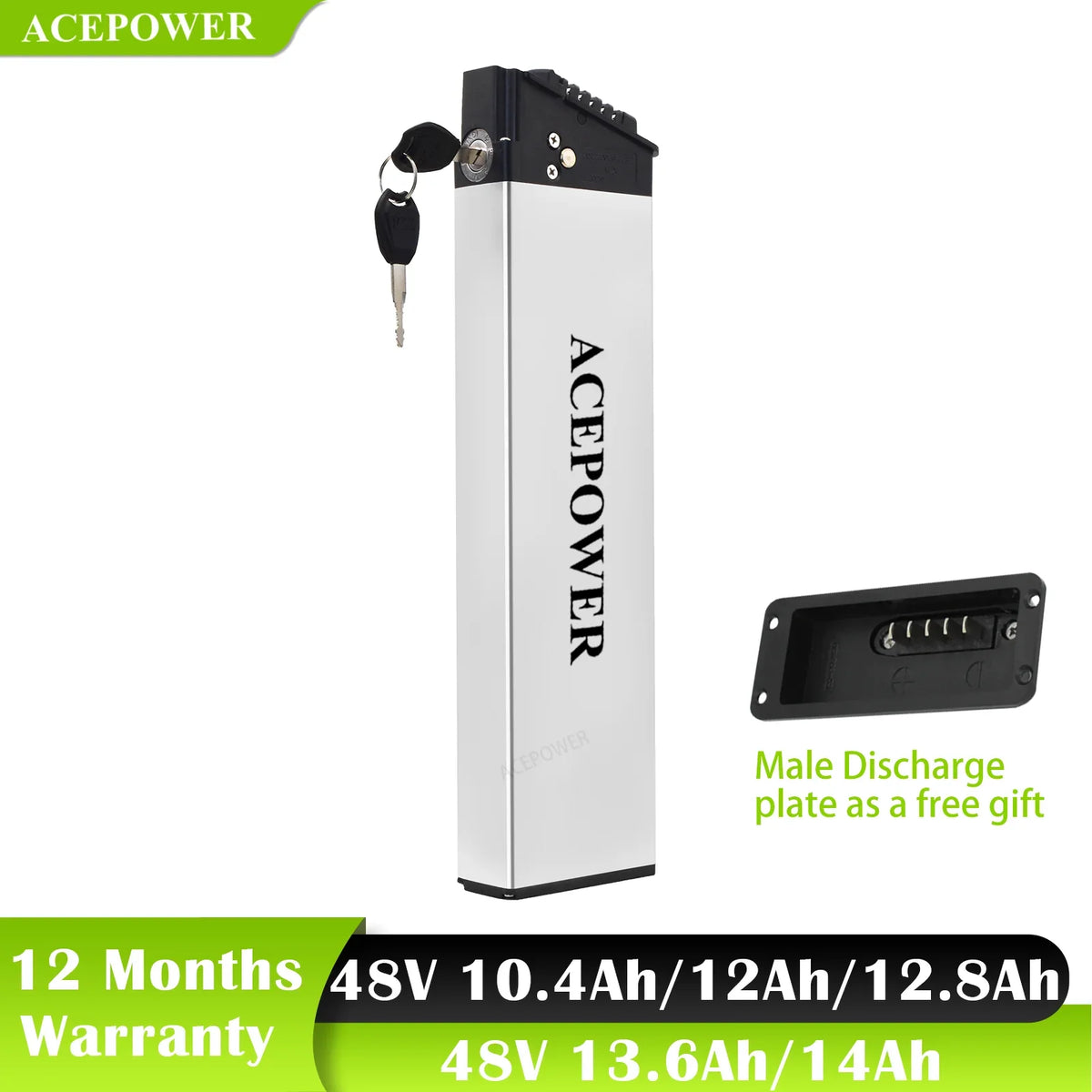 Acebei Power 48V Rechargeable Electric Bike Internal Battery