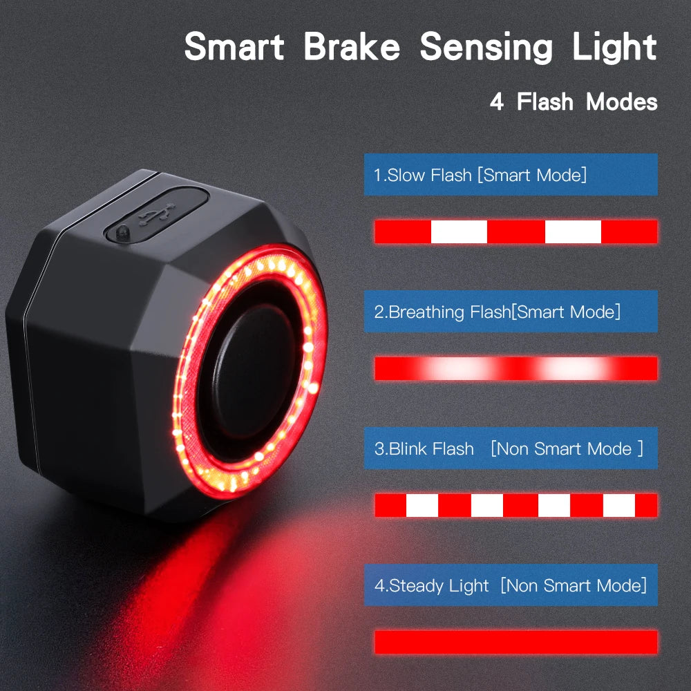 Wsdcam Smart Brake Sensing Bicycle Taillight With Remote Alarm System