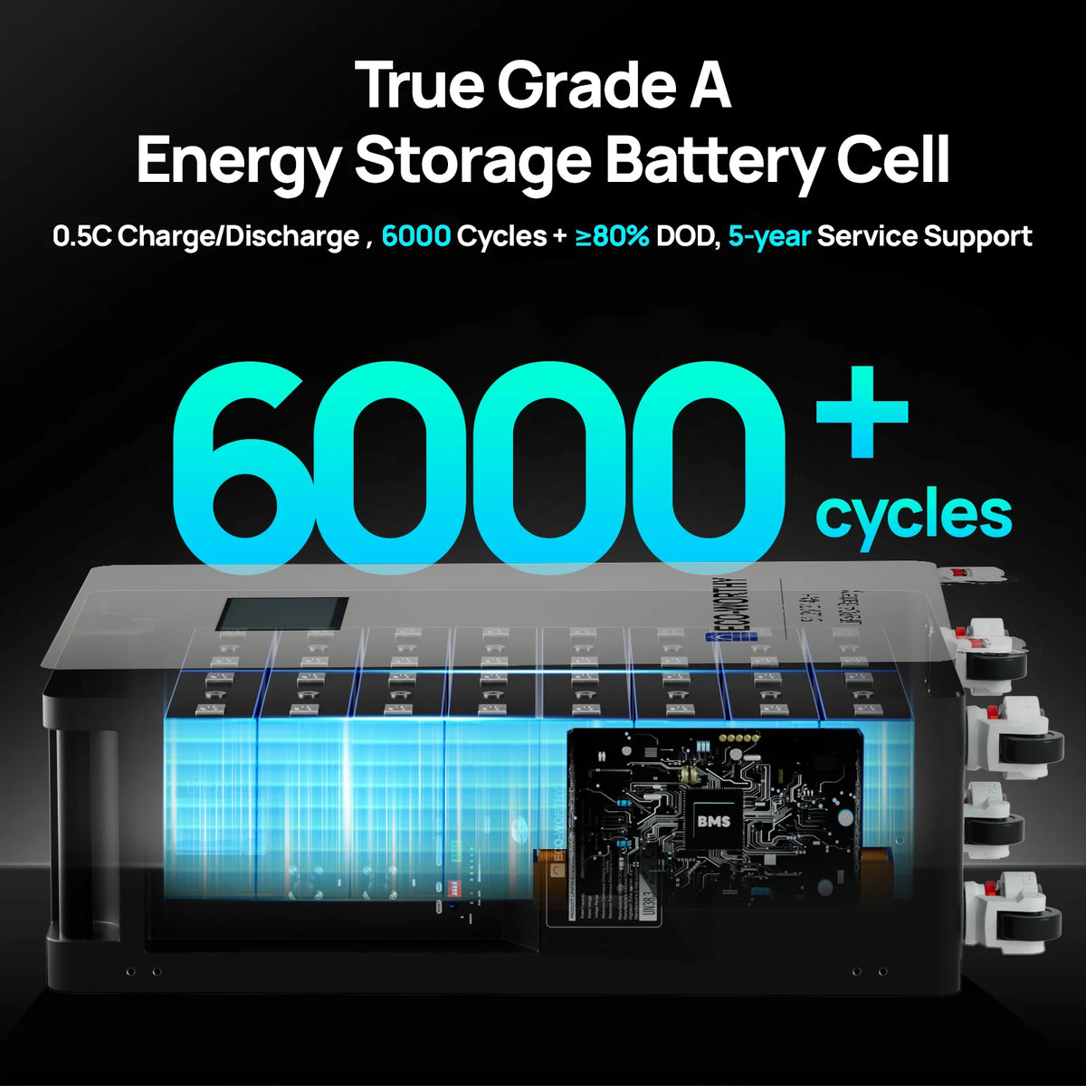 Eco Worthy LiFePO4 Lithium Battery For Home Energy Storage