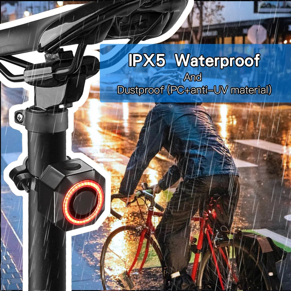 Wsdcam Smart Brake Sensing Bicycle Taillight With Remote Alarm System