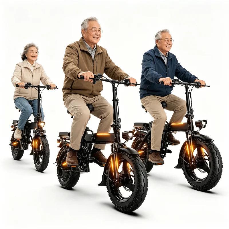 Zefiora 500W Foldable Electric Bicycle With Pedal Assist