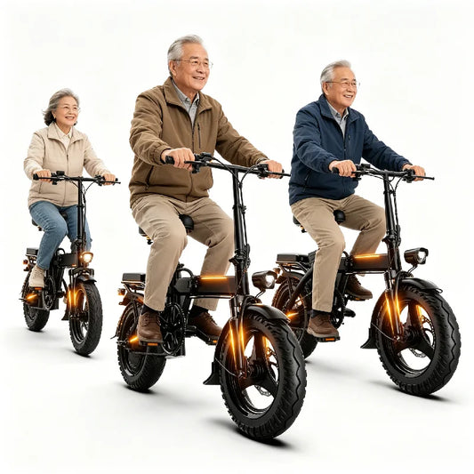 Zefiora 500W Foldable Electric Bicycle With Pedal Assist
